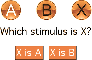 How To Do A Proper Listening Test