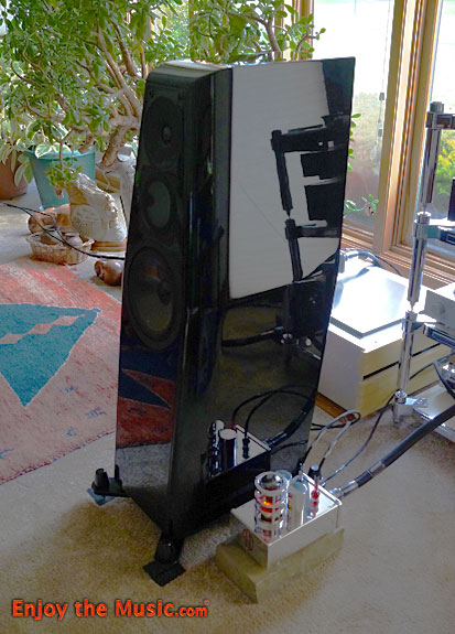 AGD The Audion GaNTube Monoblocks Review