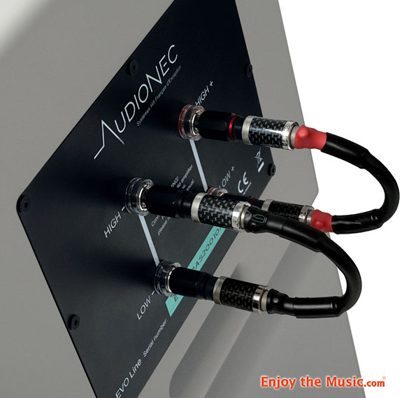 AudioNec Evo #2 Loudspeakers Review