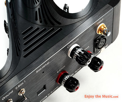 Ayon Audio Crossfire EVO Monoblock Power Amplifier