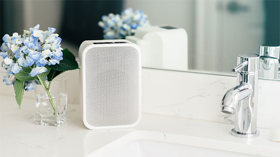 Bluesound Pulse Flex 2i And Pulse Mini 2i Review