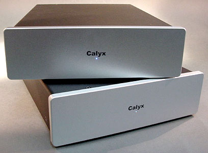 Calyx 500 Monoblock Power Amplifier