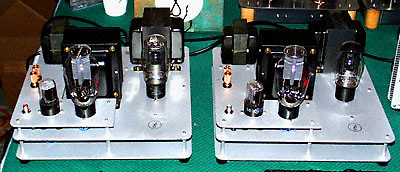 fi300b.jpg (37142 bytes)