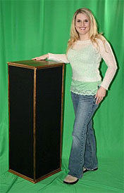 GIK Elite Pillar Bass Traps Review GIK Elite Pillar Bass Traps and D1 Diffusers Review The benefits are just too great to pass up.