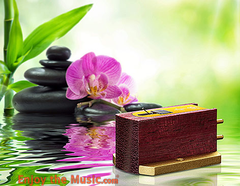 Kiseki Purple Heart NS Moving Coil Phono Cartridge Review