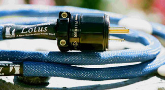 Dynamic Design Lotus