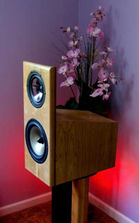 Nomad Audio Sentinel Loudspeaker