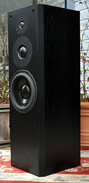 Renaissance Audio Group MLP-501 Loudspeakers