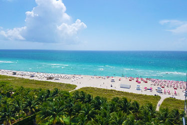 Great Think Pieces, 10 Questions, And Reviews!