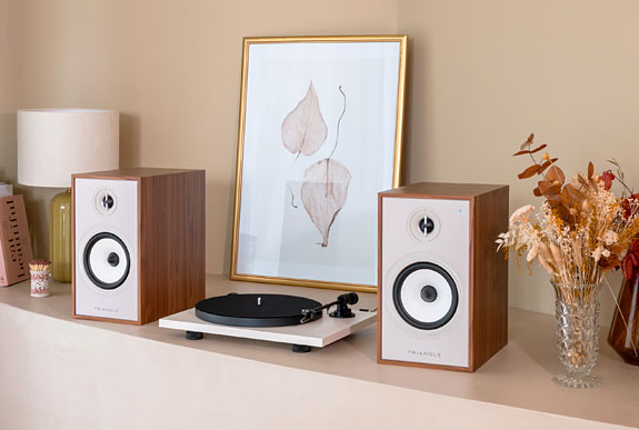 Triangle Borea Br03 Connect Monitor Loudspeaker Review No muss and no fuss for only $699.