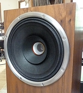 Zu Audio Union Speaker